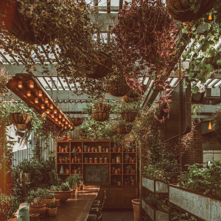 LikeASalamander's tweet image. “... 𝙒𝙤𝙧𝙧𝙮𝙞𝙣𝙜 𝙢𝙚𝙖𝙣𝙨 𝙮𝙤𝙪 𝙨𝙪𝙛𝙛𝙚𝙧 𝙩𝙬𝙞𝙘𝙚.”

   ᴾᵉⁿⁿᵉᵈ ᵇʸ #smolsammy &amp;amp; #callmeflib.