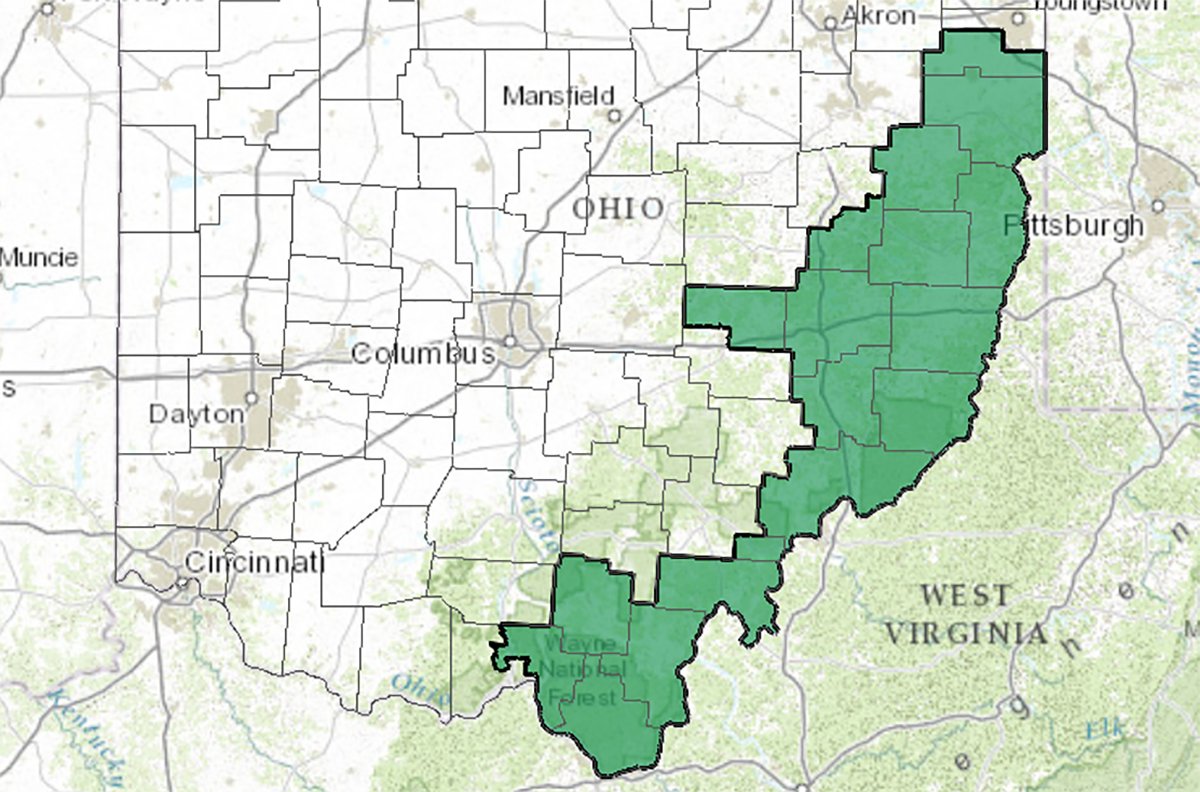 And he's not the only one. All around Ohio, the districts are designed in all sorts of absurd ways, ways that have nothing to do with representation of Ohio needs. Here's the 6th, and if you haven't watched Bill Johnson, he basically acts just like Jordan. 5/