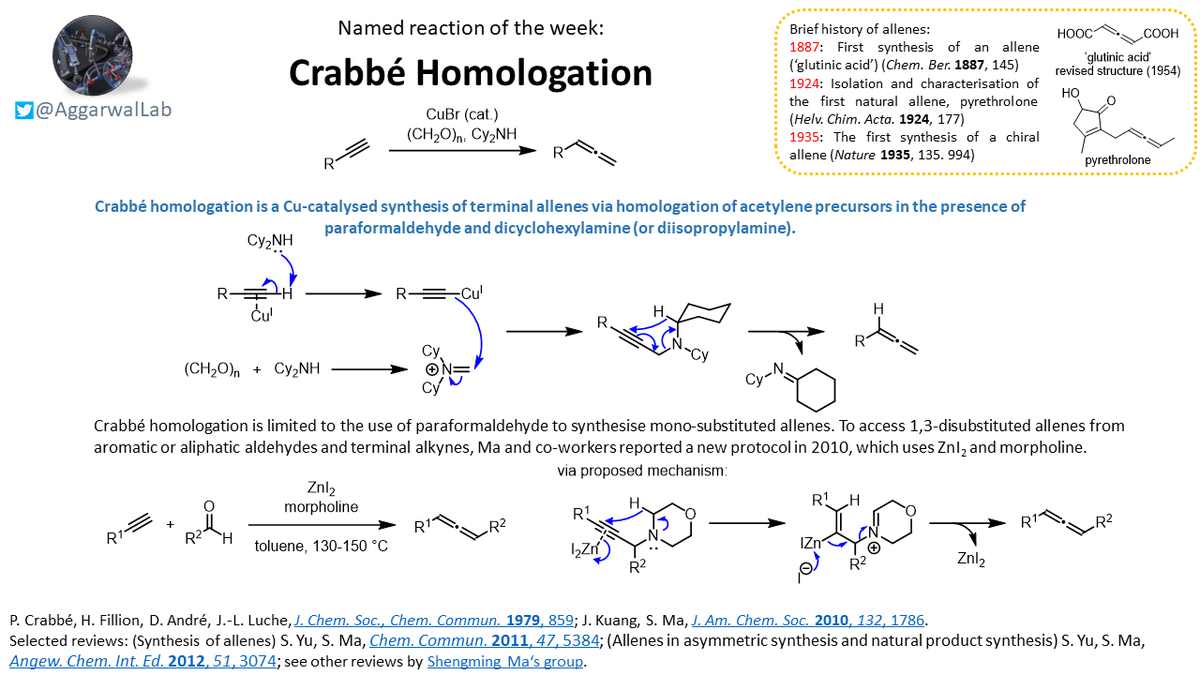 Up this week is the Crabbé homologation, which involves the Cu-catalysed synthesis of allenes: