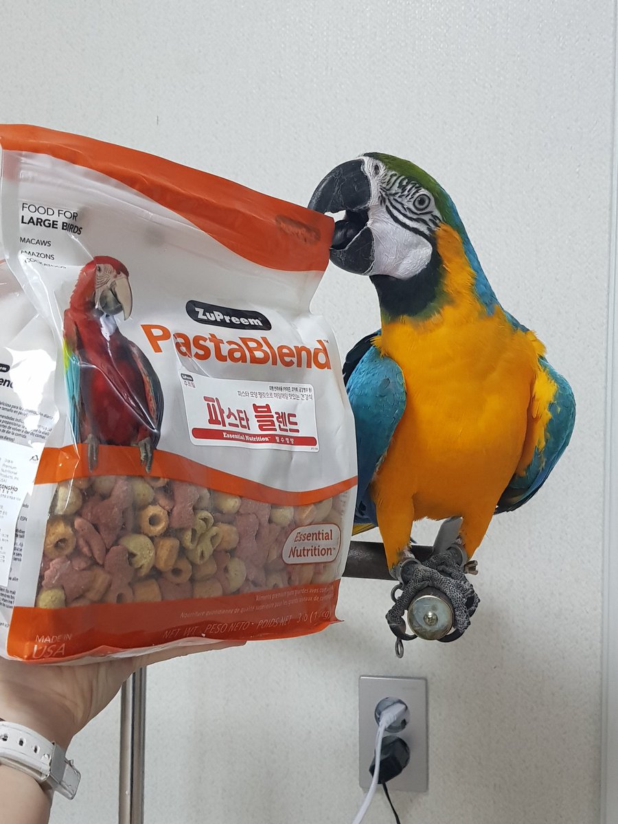 새로운 파스타 블랜드 쥬프림 선물 받았다 
이름처럼 파스타모양의 펠렛인데 컵이는 원래 다 잘먹는애라 새로봤는데도 바로 잘먹어준다😋😊