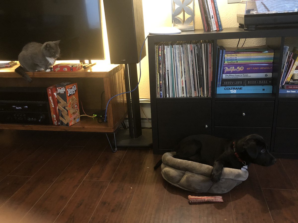 PuppyMagnolia tweet media
