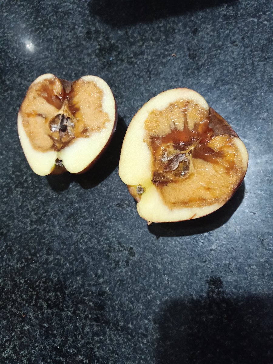 drharshaj's tweet photo. @bigbasket_com Stop selling such substandard rotten 'premium'  apples. #worstservice #bigbasket #rotten #stale #cheaters https://t.co/XSMed3pIVM