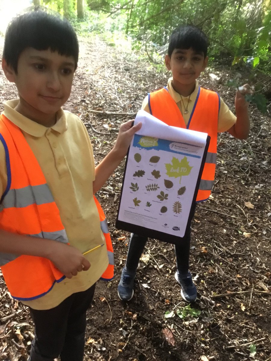 HillwoodPS's tweet photo. P6/7 have been researching how to identify trees by their leaves, and this afternoon we used our learning on our forest visit #reallifecontext #applyingthelearning https://t.co/P9Gh6l7EEB