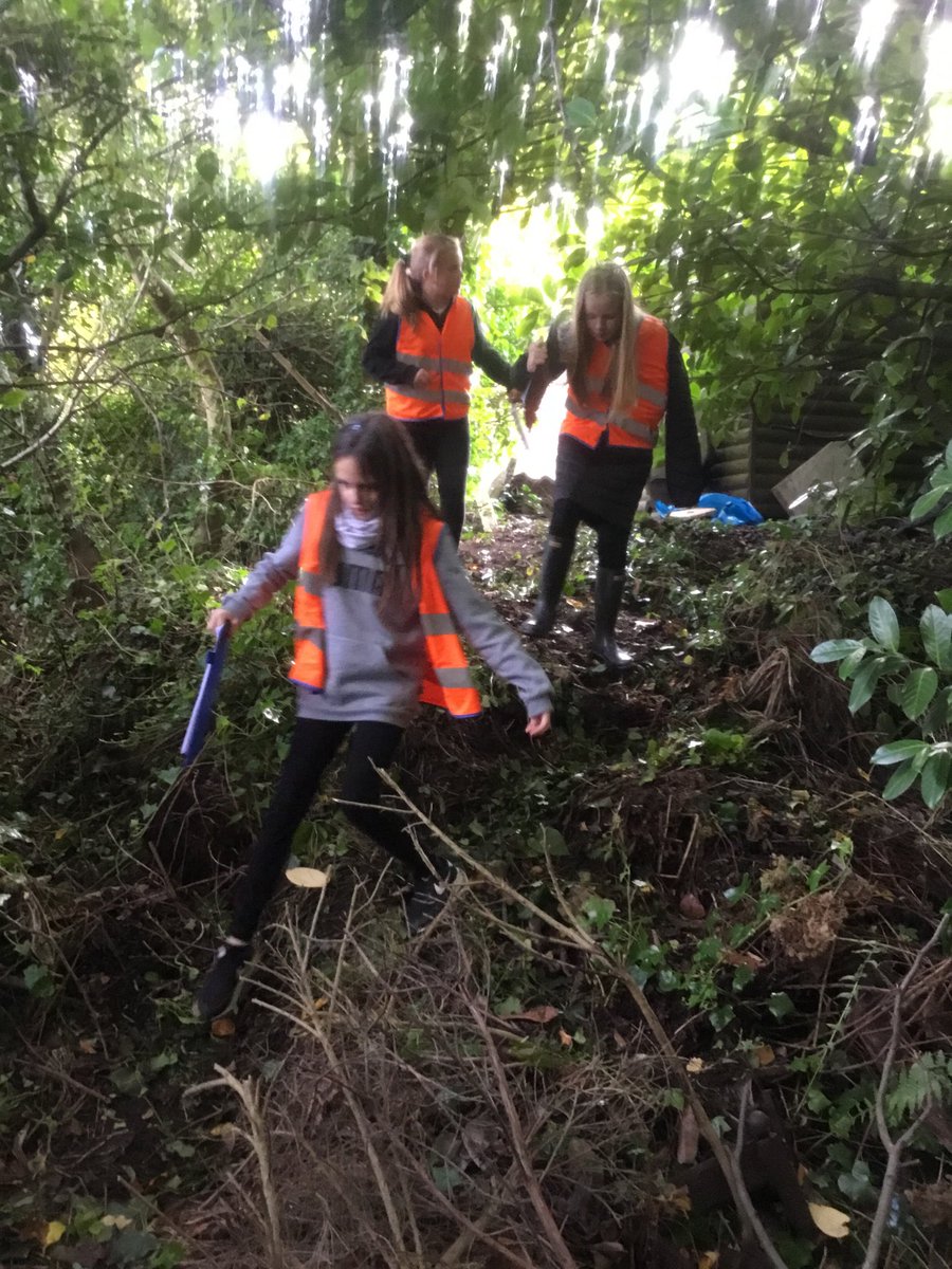 HillwoodPS's tweet photo. P6/7 have been researching how to identify trees by their leaves, and this afternoon we used our learning on our forest visit #reallifecontext #applyingthelearning https://t.co/P9Gh6l7EEB