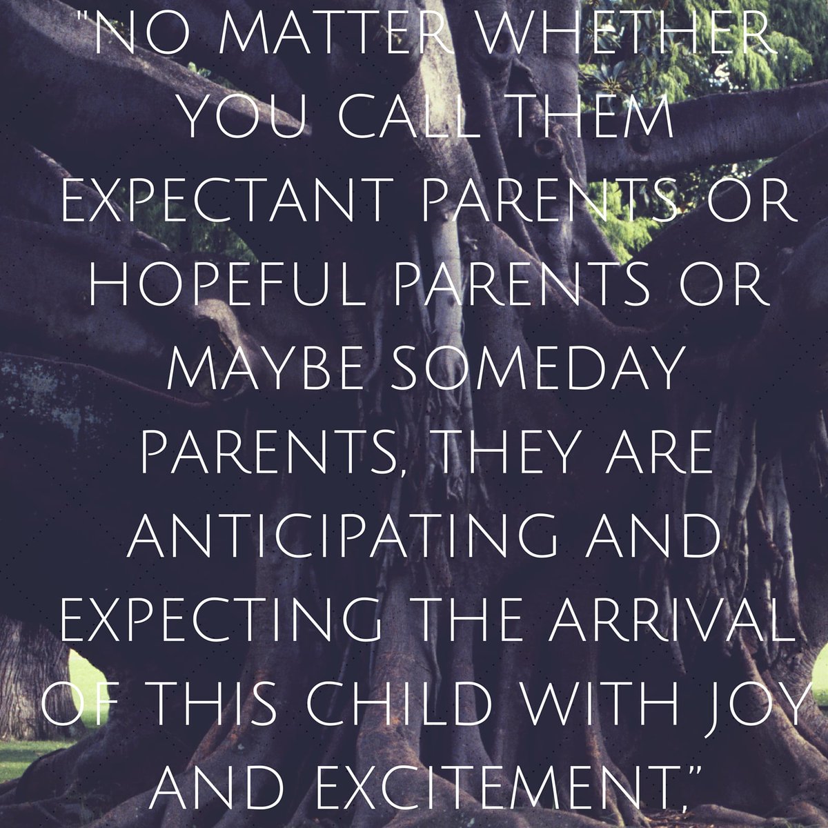 Hopeful adoptive parents waiting for their birth mom match.
chichamonster.wixsite.com/foxfamilyadopt…
#adoptions #adoptionrocks #domesticinfantadoption #hopefuladoptiveparents #adopt #adoptiveparents #hopeingtoadopt #c2adopt #lookingtoadopt #birthmomstrong #birthmom #adoptivemom #adoptionformybaby