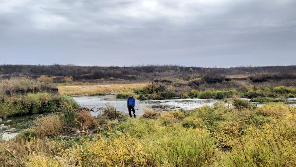 When you think you missed fall on Wascana Trails but were blown away.
.
#saskatchewan #exploresk #exploresask #seeyqr #mysask #canada