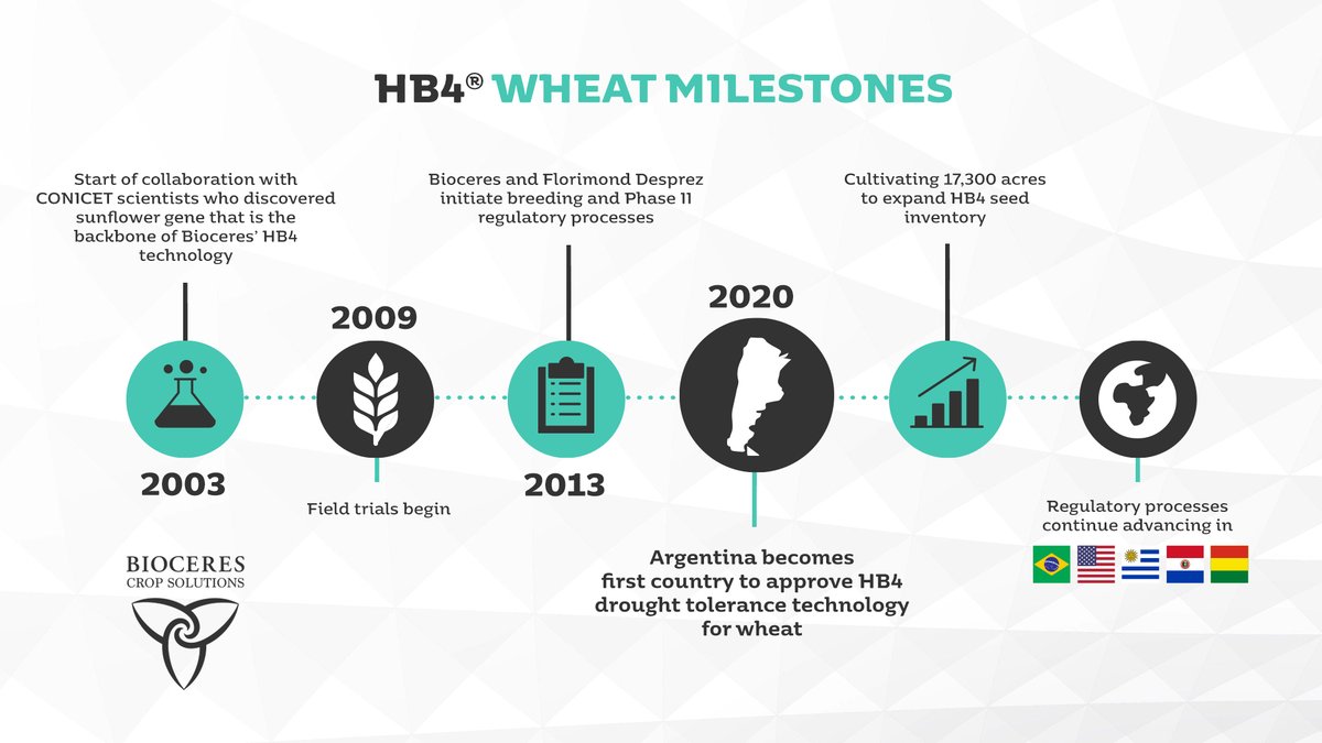 BioceresCropS's tweet photo. #HB4Wheat, the world's only #droughtTolerant technology for #wheat, clears big hurdle with approval from #Argentina. #HB4® wheat yields increased up to 20% in #drought conditions, a major milestone in global wheat value chain &amp; related #carbonEmissions. https://t.co/nqrkzxztR5 https://t.co/FOiHgTJ2md
