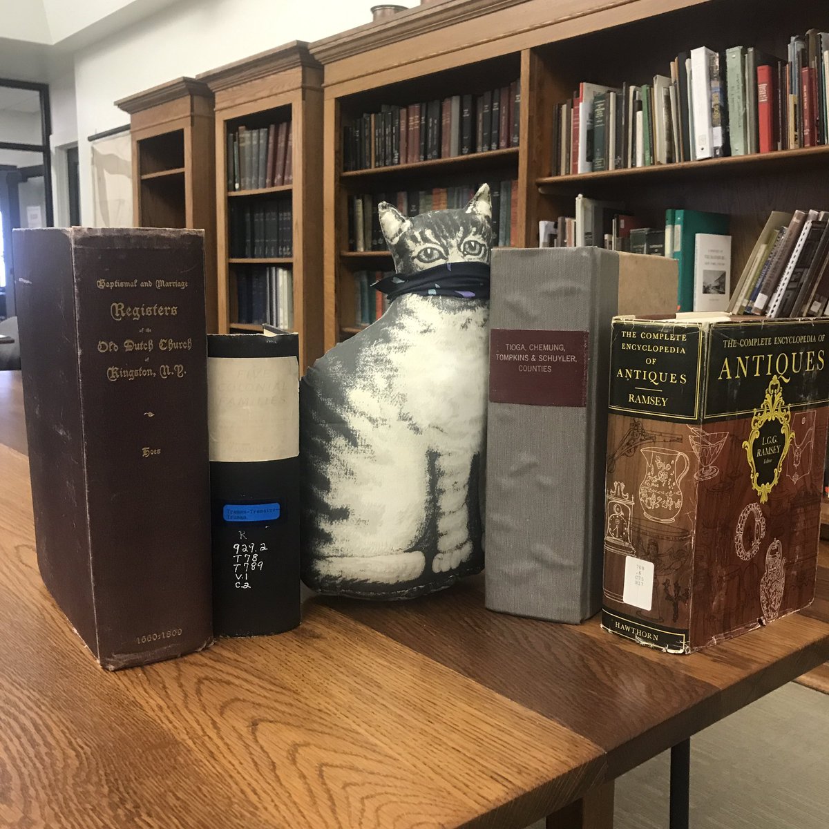 TompkinsHistory's tweet photo. Did someone say #FatBookWeek? #IthacaKitty found some hefty tomes in the @TompkinsHistory Research Library that youβd need at least two paws to hold properly πΎ π #readlocalithaca #bigbooks https://t.co/zoIrbX8jSU