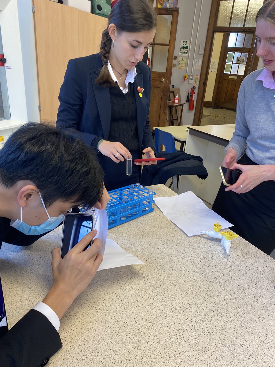 WrekinCol's tweet image. Some enthusiastic U6 biologists checking to see if their brine shrimps have hatched! Eggs and young are microscopic, hence the need for close inspection; picture is one fully grown (a few mm long!). #learningthroughdoing #gettingstuckin #biologyisbest #newlife #proudparents