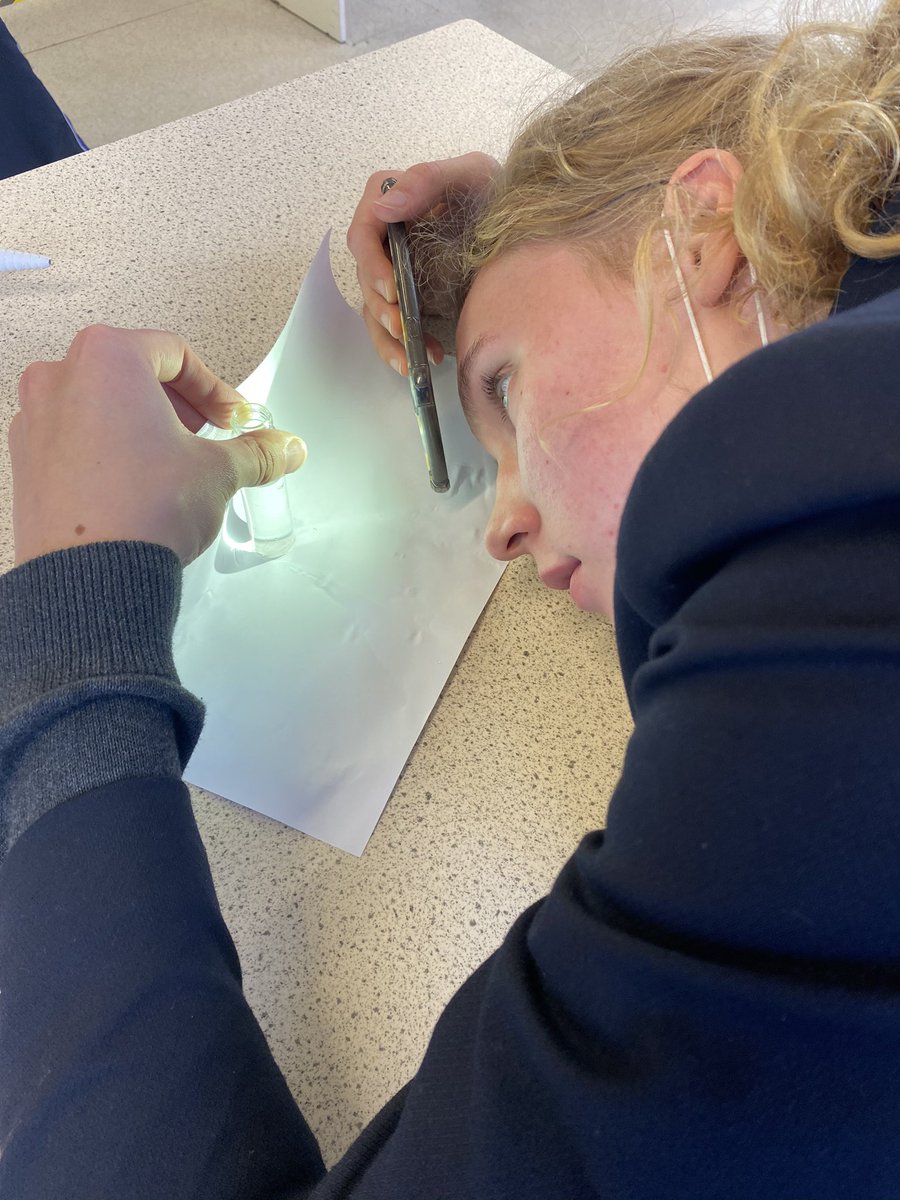 WrekinCol's tweet image. Some enthusiastic U6 biologists checking to see if their brine shrimps have hatched! Eggs and young are microscopic, hence the need for close inspection; picture is one fully grown (a few mm long!). #learningthroughdoing #gettingstuckin #biologyisbest #newlife #proudparents