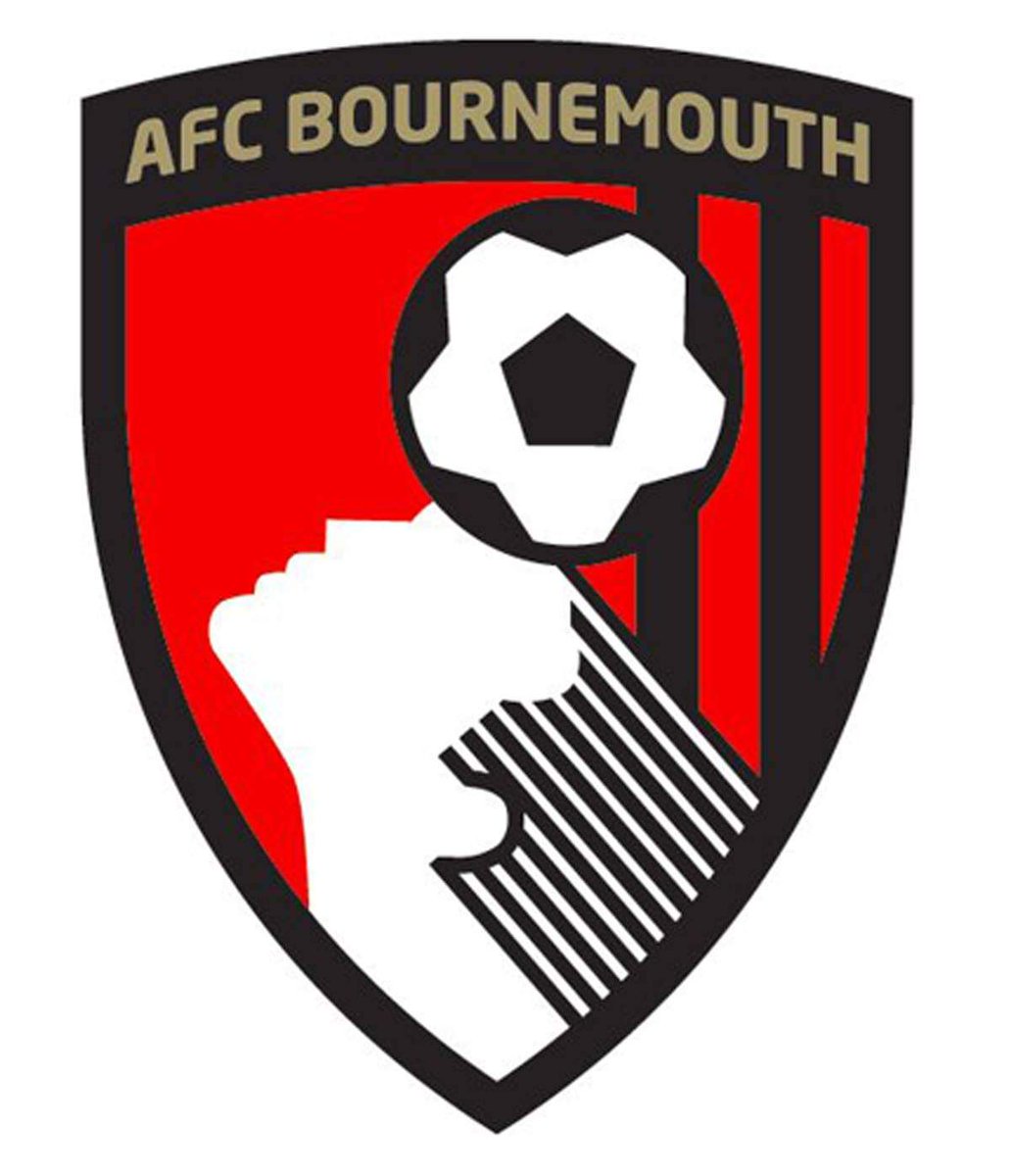 33) AFC Bournemouth Points: 148 Manager: Danny Webb How did Bournemouth finish this high up the table? The answer has to be Ben White. God, I miss him so much.