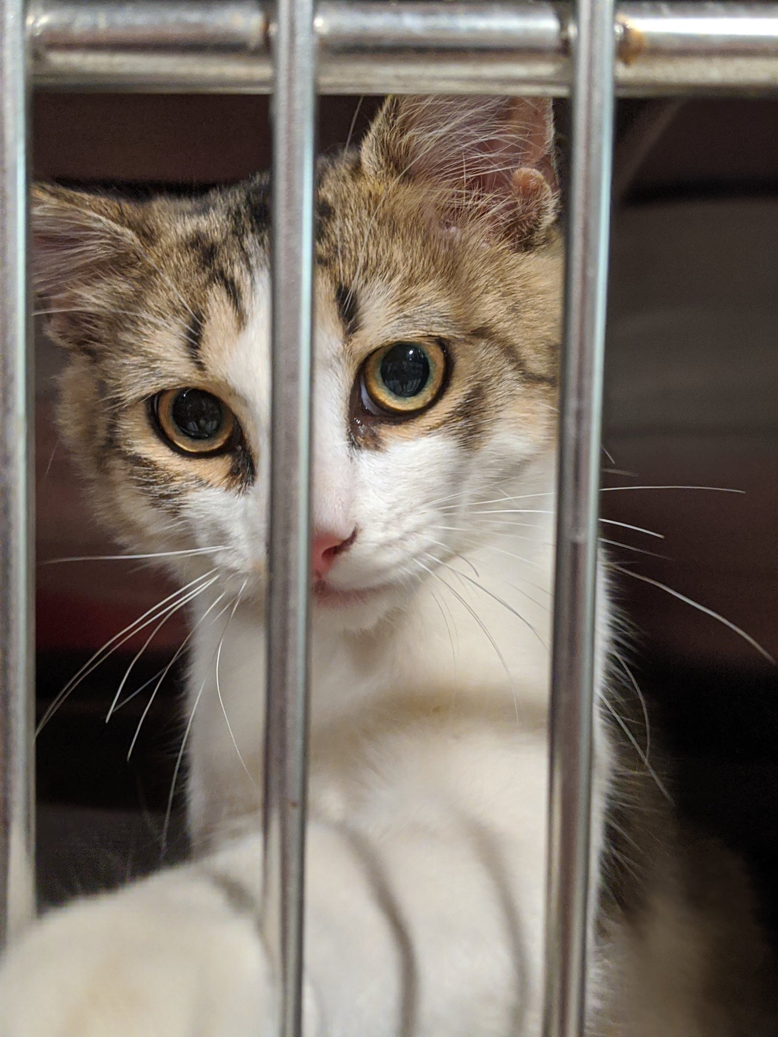 Real Property Management TradeWinds (RPMTradeWinds) / Twitter