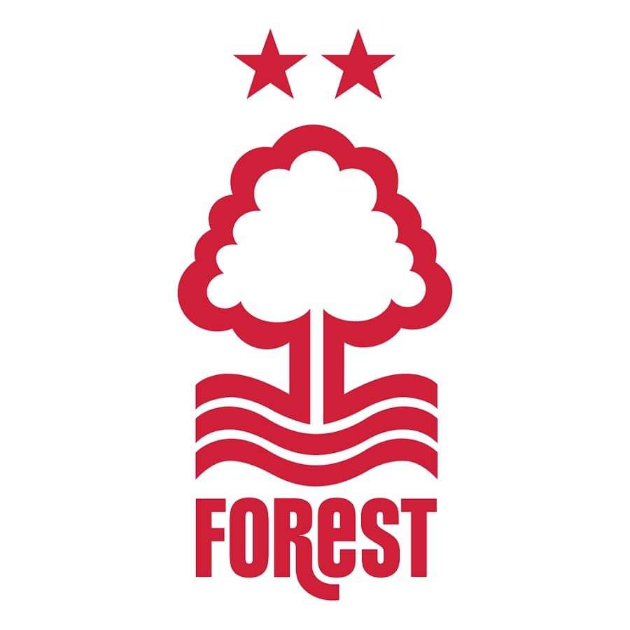 32) Nottingham Forest Points: 149 Manager: Trevor Peale Tom Cairney, Patrick Bamford, Tom Huddlestone, David McGoldrick... this team absolutely stinks of Sky Bet Championship.