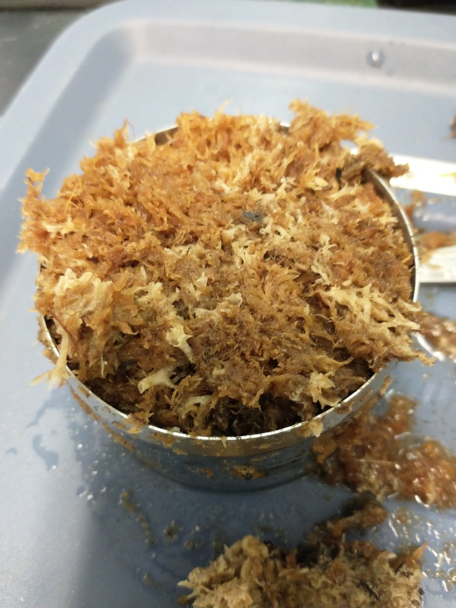 Dr Nicole Balliston tweet media