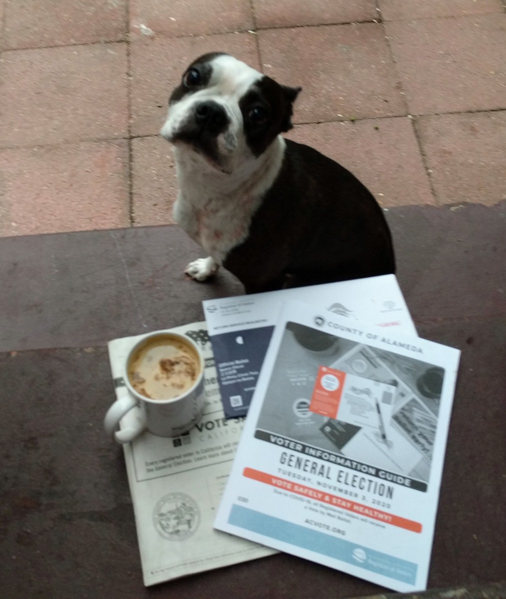 moriawong's tweet image. Watch out for feisty #pollwatcher.
Love the hot coffee served at #2020Election #polloftheday