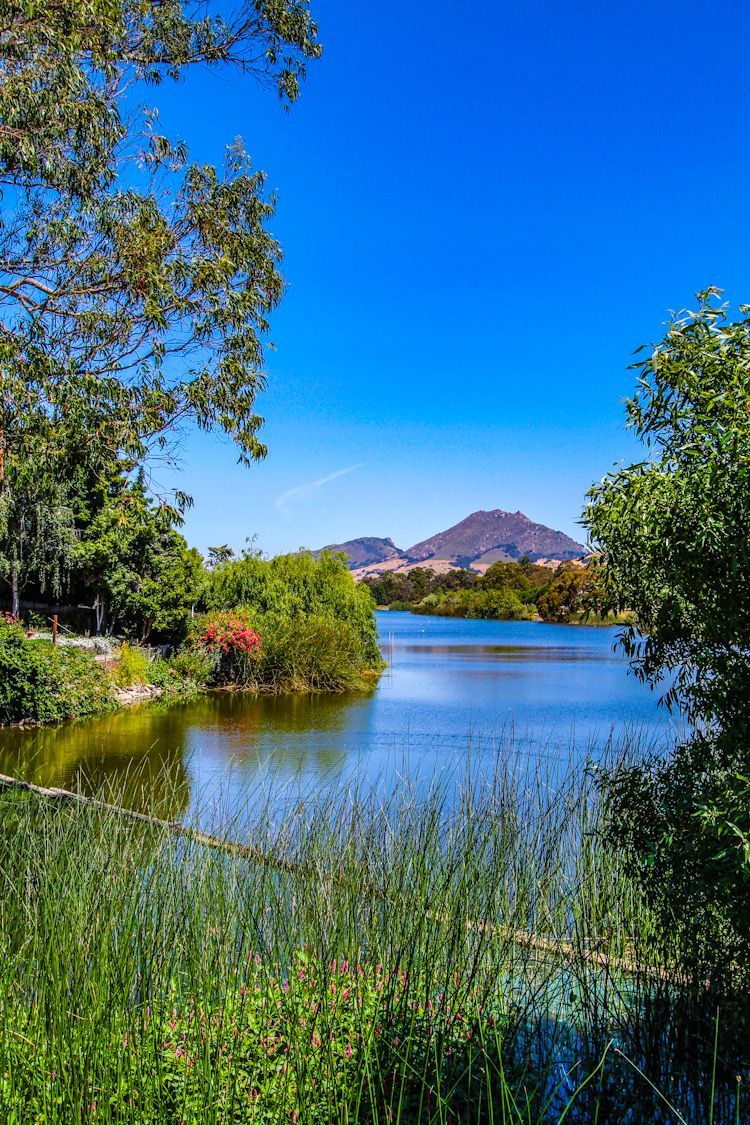 SLOGuide's tweet photo. Have you ever been to #LagunaLake in #SanLuisObispo? The 375-acre #park has lots of open space, tables and bbq pits, hiking trails, volleyball courts, a fitness area, a #playground for kids, a dog park, and even a disc golf course! https://t.co/KDQTW4Qpks