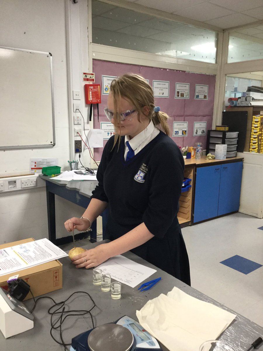 Lathom_Science's tweet image. Y11 enjoying their KS4 Science Society!  #RequiredPractical #PROUD #Osmosis