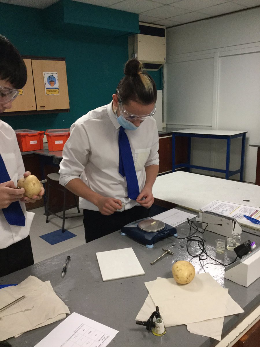Lathom_Science's tweet image. Y11 enjoying their KS4 Science Society!  #RequiredPractical #PROUD #Osmosis