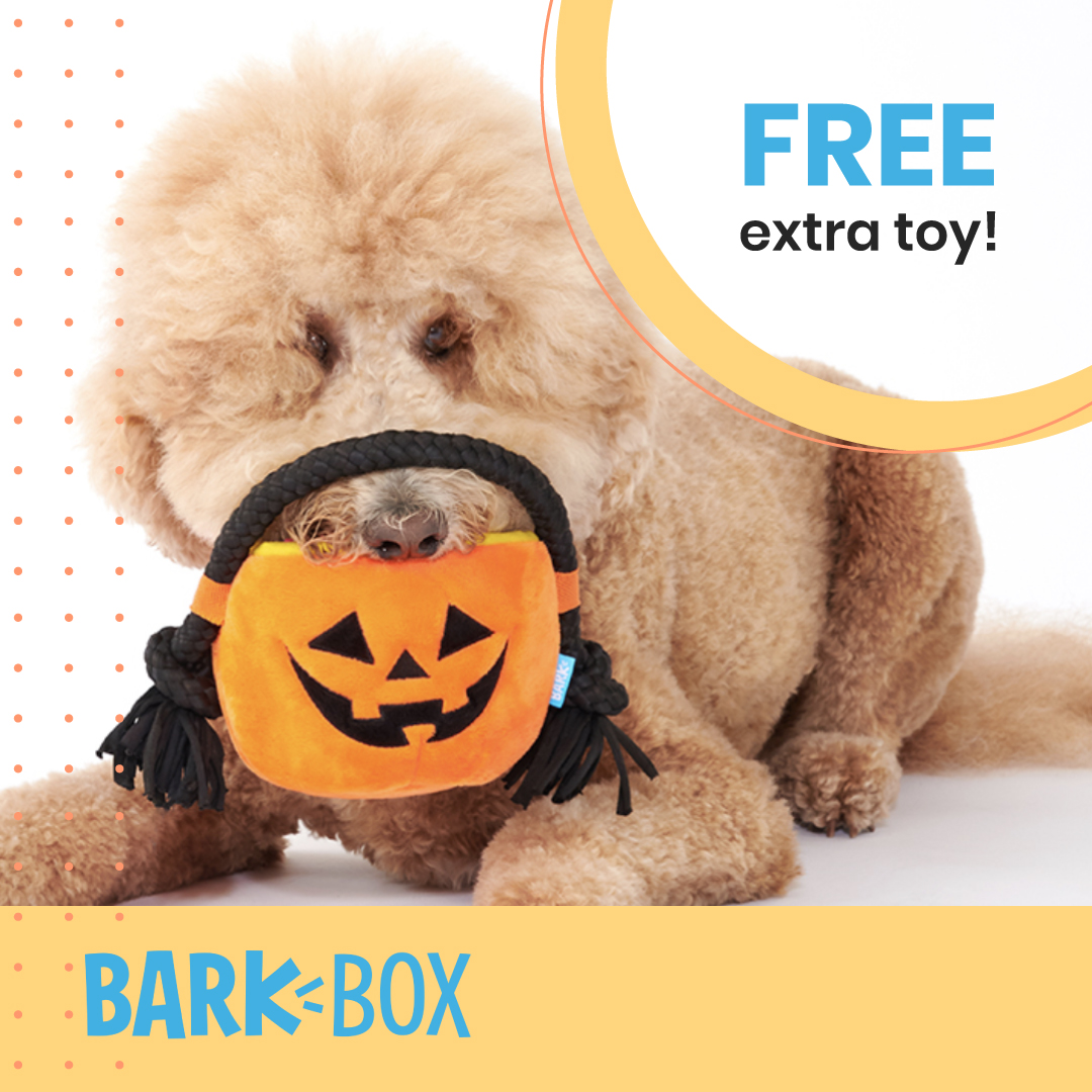Get your pet a #TREAT (not trick) this Halloween. You'll get a free extra toy in EVERY box when you sign up for @barkbox! PLUS it's Halloween themed!
Sign up with this link for the deal: https://t.co/8E7PyA3pSa
#DogPeopleGetIt #DogsOfBark #PraiseDog #Halloween #LoveForDogs https://t.co/uIgUd4M9x2