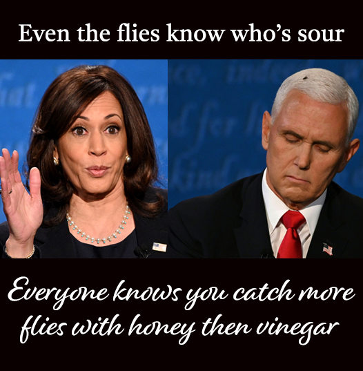 TechRavingMad's tweet photo. #pence #harris #FlyOnPenceHead https://t.co/ilnys36gJ1
