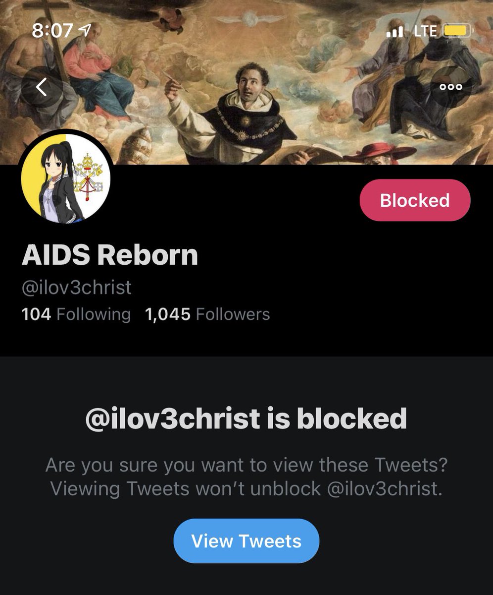 tw // racismsince the post w this piece of shits going around heres a thread of all their lil friends u shuld block too! if someone can make a thread to make it easier to access each account to block i'd rly appreciate it but for now i can only provide ss of their usernames