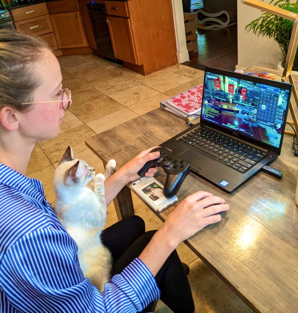SistersSprout's tweet photo. Starting off the morning with FFXIV leveling dungeons with some kitten distraction assistance #ffxvi #kittengamer https://t.co/XrQtjpizhV