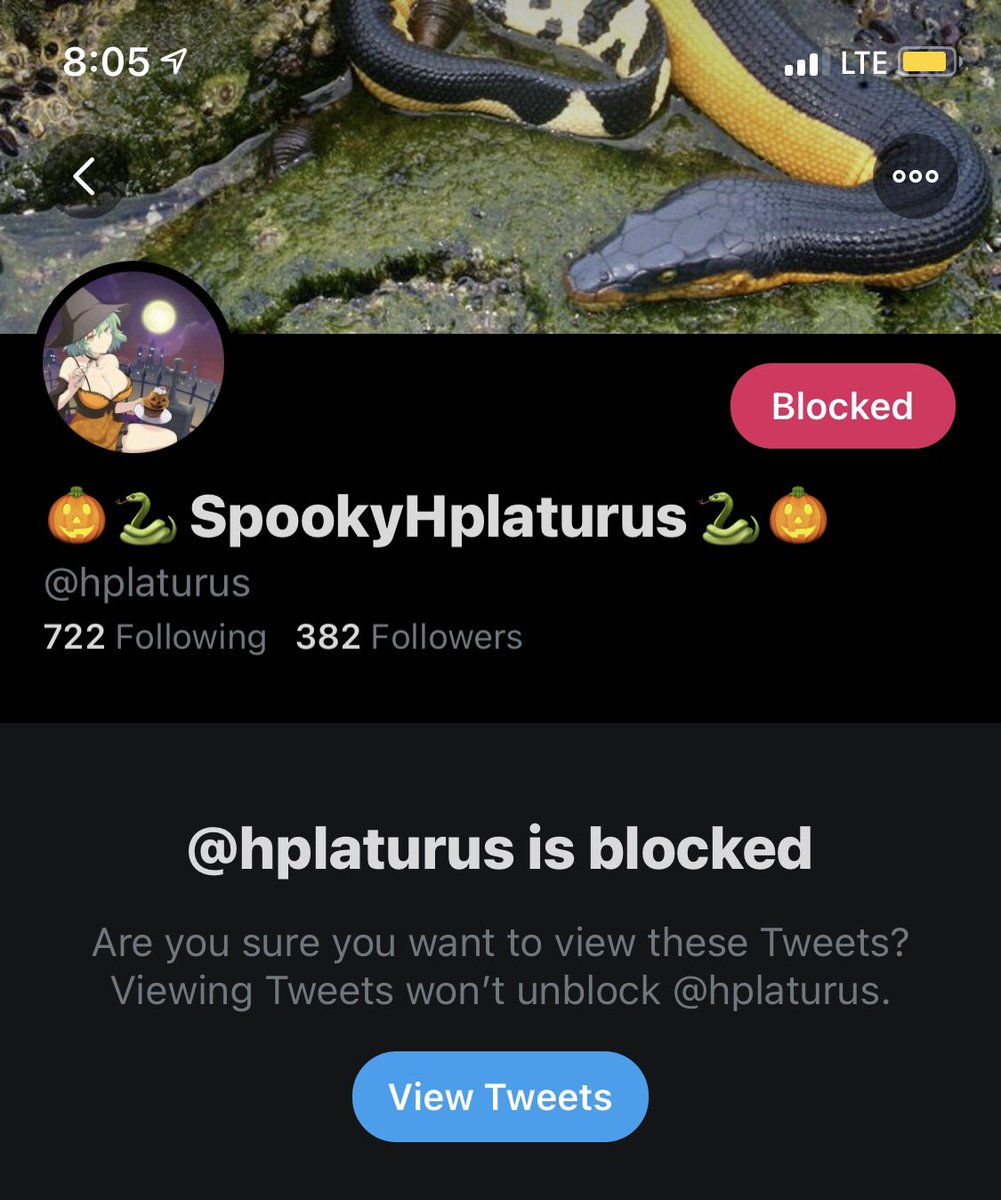 tw // racismsince the post w this piece of shits going around heres a thread of all their lil friends u shuld block too! if someone can make a thread to make it easier to access each account to block i'd rly appreciate it but for now i can only provide ss of their usernames