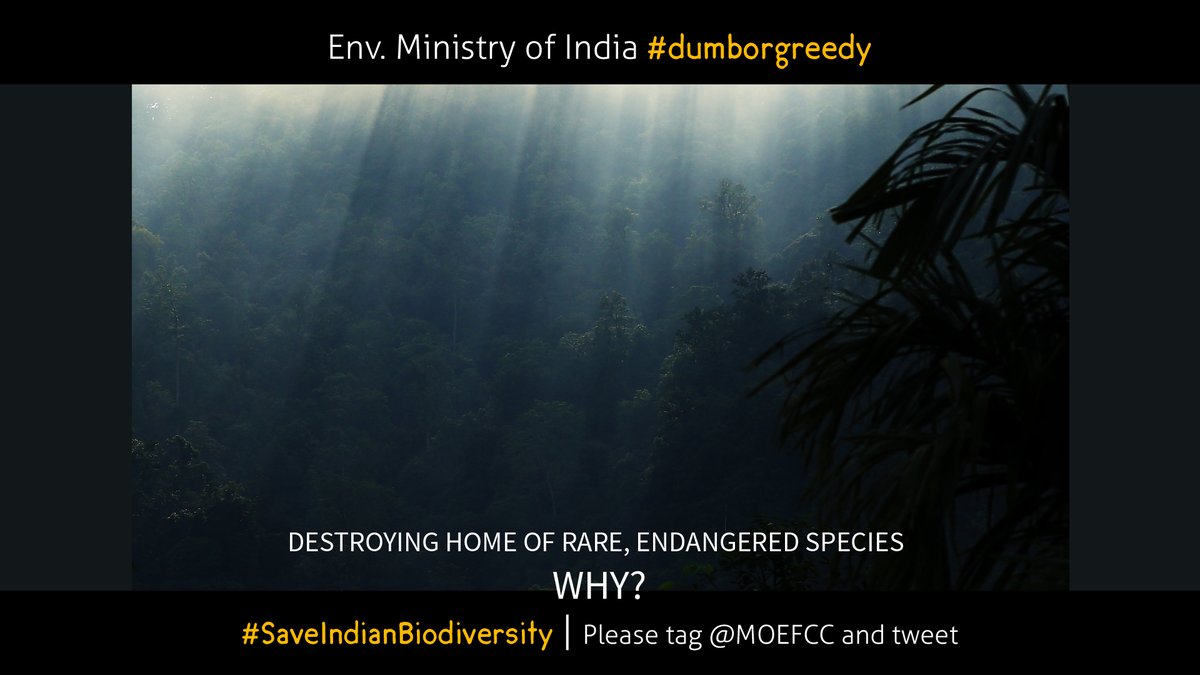 nahluwalia20's tweet image. #WildlifeWeek2020 is being remembered by Indians for destruction of 10451 hectares of wildlife habitat
in Keonjhar district of Odisha for 64 mining projects
#SaveWildlifeHabitat #SaveTalabira
@PMOIndia @PrakashJavdekar @moefcc
@CMO_Odisha @drvandanashiva @deespeak @IamOnir