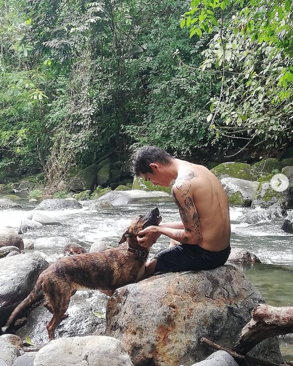 DesafioCR's tweet photo. Nuestro David Carvajal — guía de aventura y naturalismo con más de 10 años de experiencia — va a participar con una sesión de Terapia de Bosque durante el retiro de Reconexion. https://t.co/xDfFWSQIG7