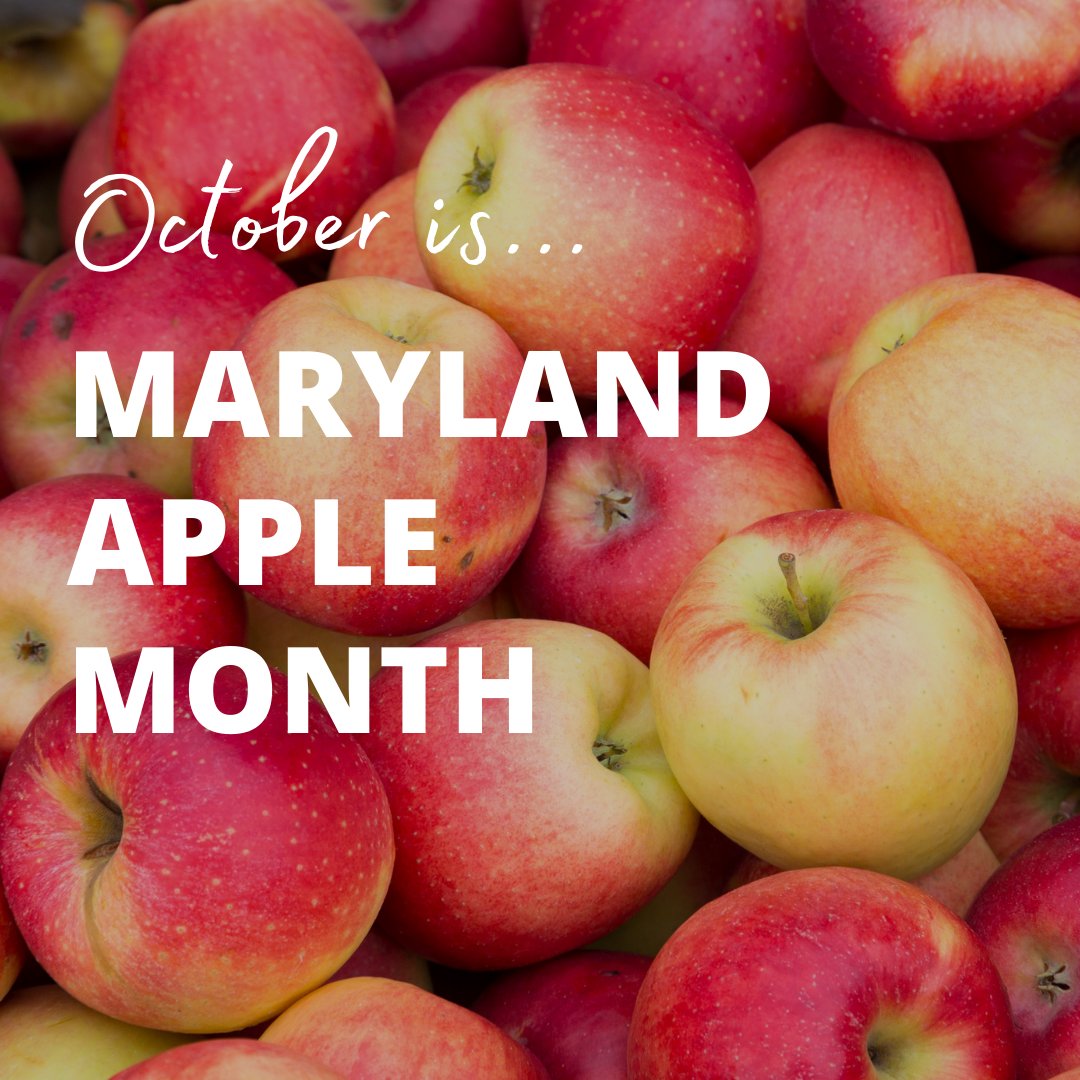 Orchardists around the state of #Maryland are growing more than 20 different #apple varieties. Celebrate #MarylandAppleMonth by purchasing locally-grown apples directly from a farm stand or farmers market and by visiting a Maryland #orchard. https://t.co/7UPYzbA9GA #MyMdFarmers https://t.co/vFRwpcmIjN