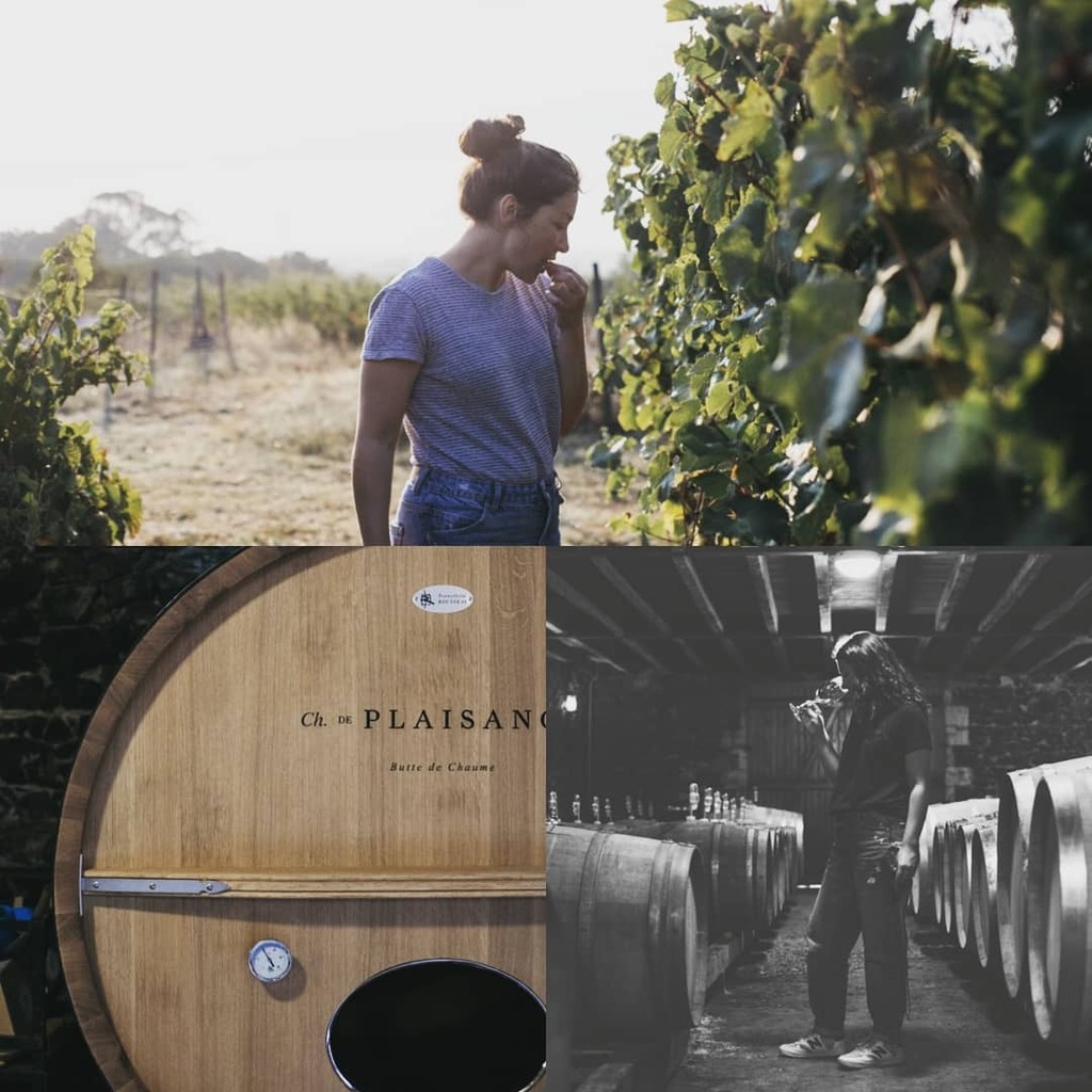 New to H2Vin: Château de Plaisance!
 
👉 The Château de Plaisance is located on the ‘Butte de Chaume’, one of the most beautiful and only 1er Cru classified terroir of Anjou! The vineyard has been run organically and biodynamically since 1995. Though … instagr.am/p/CGFh5_JHGsV/