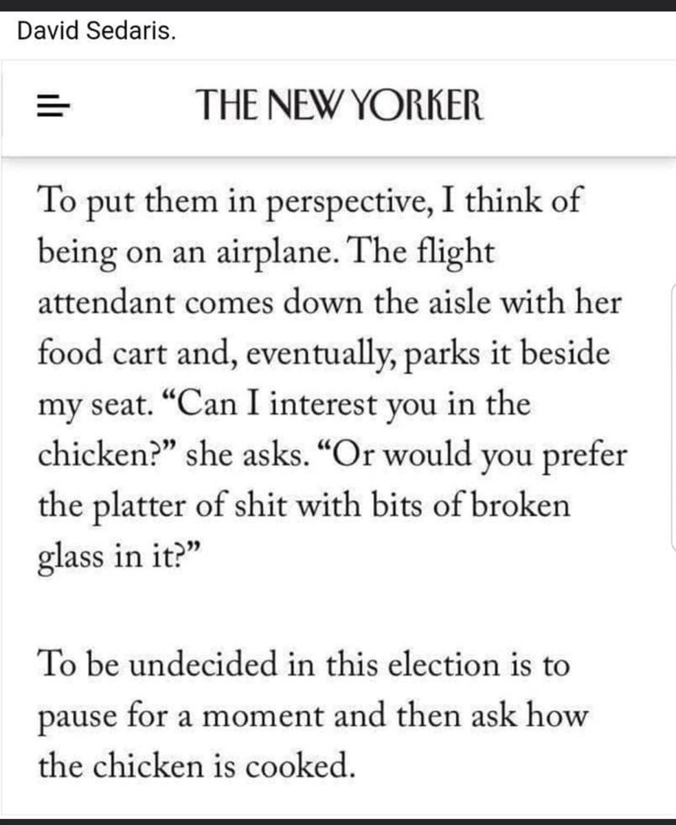 nthummalachetty's tweet photo. This is it. This is the only thing to remember for the next 4 weeks. @DavidSedaris #2020Elections #Election2020 #vote https://t.co/kv9stZRw7z