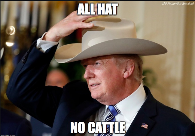 JakeJohnson77's tweet photo. @scarlet_leather @ProjectLincoln Ha! As they say in Texas, "Big hat, no cattle" #ChickenTrump #Evict45 #LincolnVoter https://t.co/NNdbfrijU7