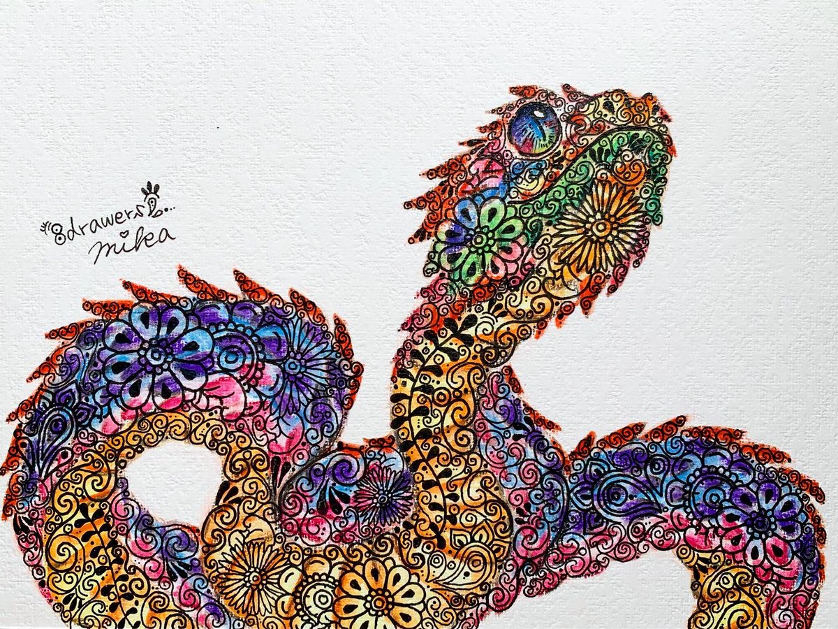 ヘアリーブッシュバイパー Twitter Search