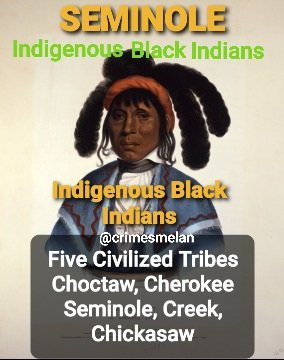 FACTCHECKNEWS1's tweet image. Seminole Chief Micanopy 1826 painted from life leaders of at least twenty tribes who visited Washington, D.C.