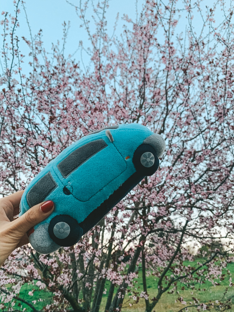 Autoplushies's tweet photo. Off to a nice flying start kid...

Just Aim high &amp; Stay low...!

https://t.co/aGKCBe3SAI

#autoplushies #twingosforlife #cargang #twingos #adorabletoys #aimhigh #hustler #carenthusiast #carsfantasy #shopforplushies #cutetoys https://t.co/0mXcIFGaJA