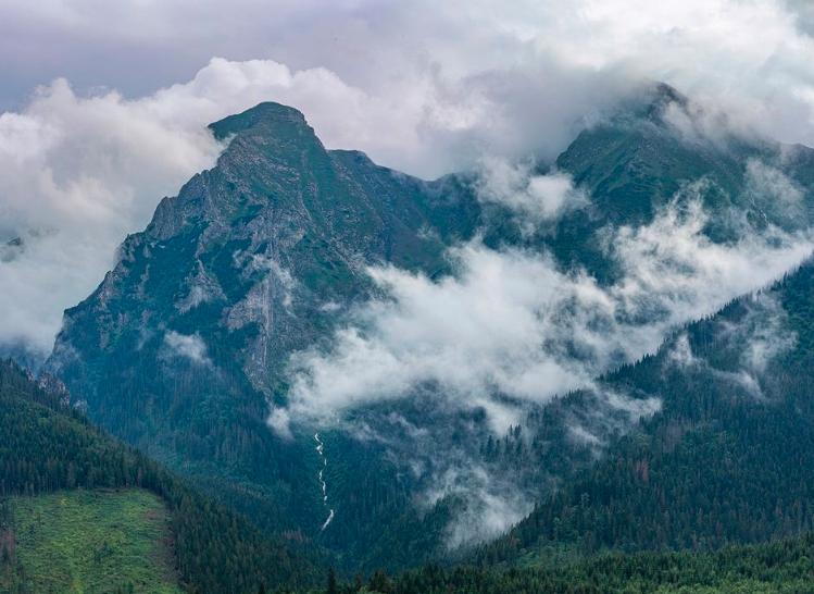 GORSKI_SWIAT's tweet photo. #góry #tatry #podhale #info #turystykagórska #fotografia 
#doliny #potok #tatrywyskie https://t.co/g2PDHL9MxH