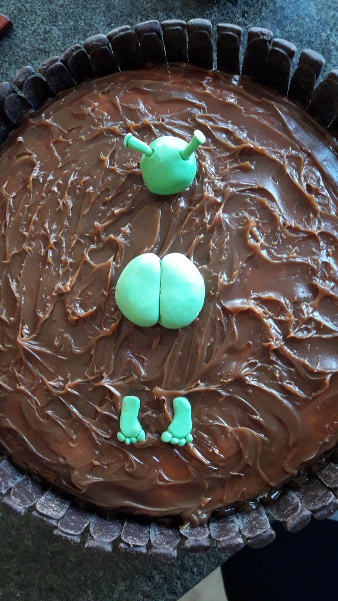 canyon91t's tweet photo. hice una torta les gusta https://t.co/VZcNJwKtzn