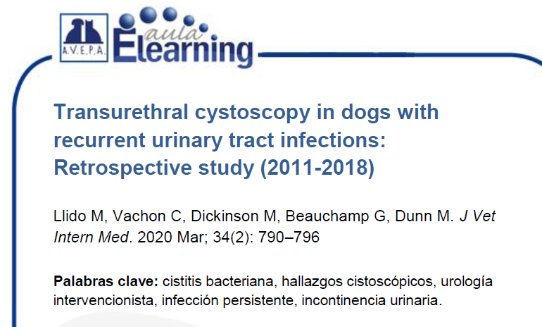AvepaElearning's tweet image. Acabamos de publicar en la plataforma el resumen elaborado por Rebeca Movilla del artículo Transurethral cystoscopy in dogs with recurrent urinary tract infections: Retrospective study (2011-2018) de M. Llido, C. Vachon, M. Dickinson, G. Beauchamp y M. Dunn.