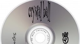 The 7 tracks that P removed from Crystal Ball were as follows:Rebirth of the FleshCrystal Ball*Rockhard in a Funky PlaceThe Ball Joy In Repetition *Shockedelica*Good Love You know what happened to these * 3 tracks as I mentioned above in relation to Camille.(F Art)