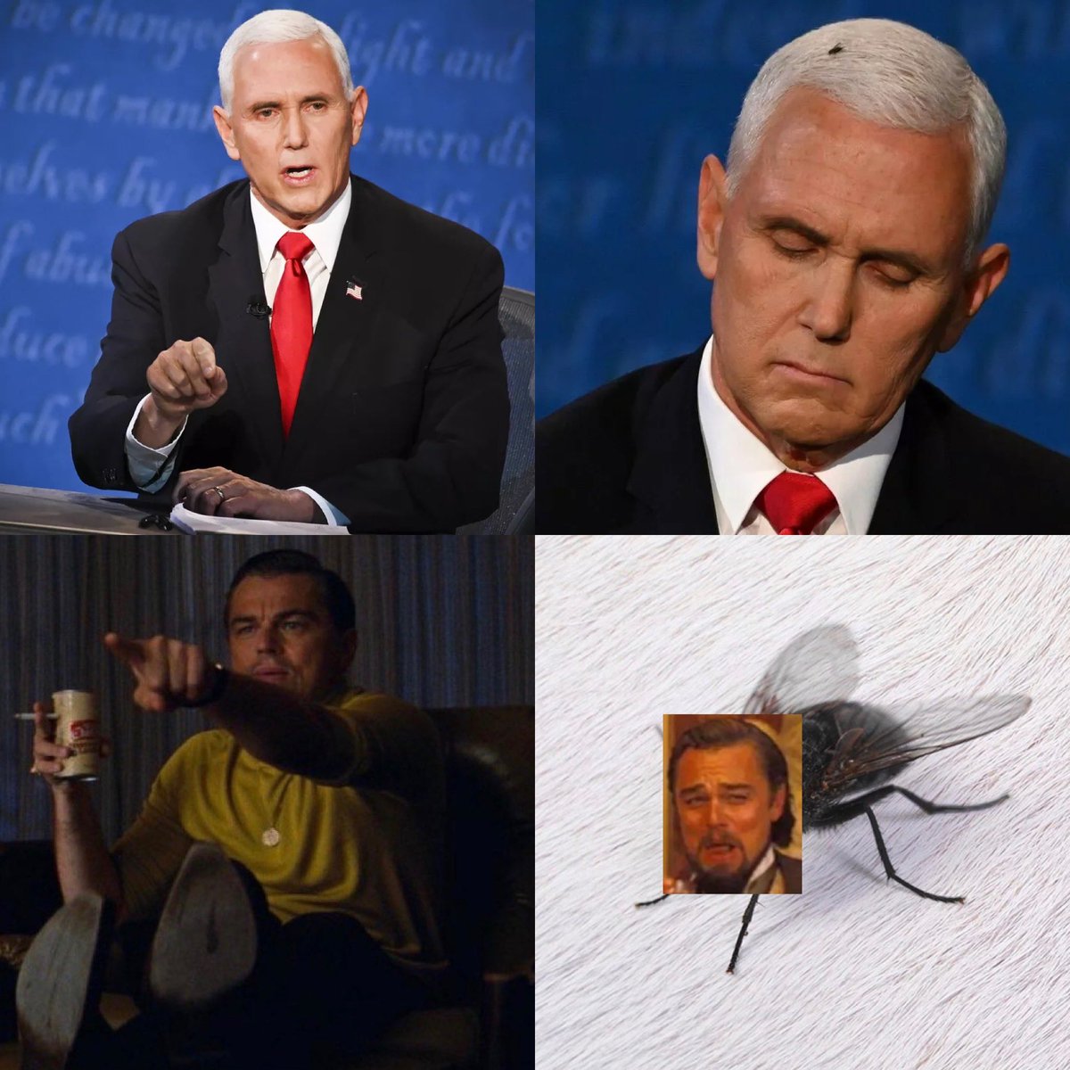 CFD (@mnmlviablepersn) on Twitter photo 