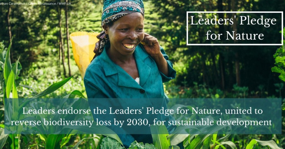 Natural Intelligence Worldwide (@niwpodcast) on Twitter photo Beautiful, hopeful, positive youtube.com/watch?v=hXQztb…
World leaders from NOW 76 nations & all regions of the European Union have signed the #leaderspledge4nature #fornature #natureforlife We #standfornature and recovering 30% of wild nature by 2030 #30x30
<a href="/UN/">United Nations</a> <a href="/wef/">World Economic Forum</a> <a href="/UNDPLive/">UNDP Live tweeting</a> Beautiful, hopeful, positive youtube.com/watch?v=hXQztb…
World leaders from NOW 76 nations & all regions of the European Union have signed the #leaderspledge4nature #fornature #natureforlife We #standfornature and recovering 30% of wild nature by 2030 #30x30
<a href="/UN/">United Nations</a> <a href="/wef/">World Economic Forum</a> <a href="/UNDPLive/">UNDP Live tweeting</a>