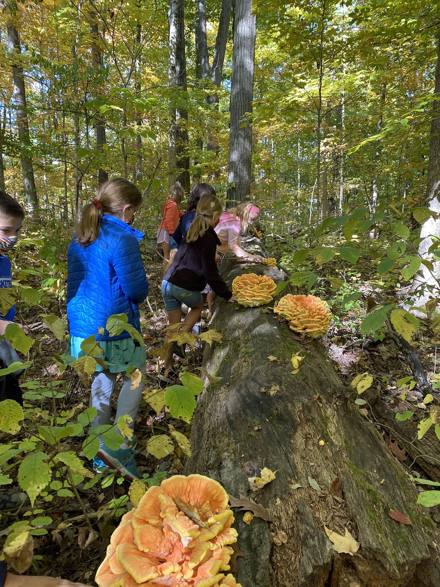 Look what we found on the trail today! #zcsstrong <a href="/EEZCS/">Eagle Elementary</a>
