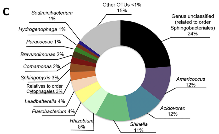uaj_ii_UNAM's tweet photo. Read our paper on "Effect of transient pH variation on microbial activity and physical characteristics of aerobic granules treating #chlorophenol" published in Journal of Environmental Science and Health, Part A
https://t.co/Pxwkgy2LmB https://t.co/aiDIFeTICL