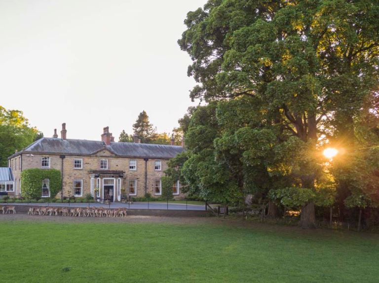 🍃 🌅 #whitworthhallhotel #whitworthweddings #northeast #northeastweddings #spennymoor #finedining #overnightstay #deer #deerpark #beauty #autumn #countryside #visitdurham #countydurham #countydurhamweddings #countryhouse