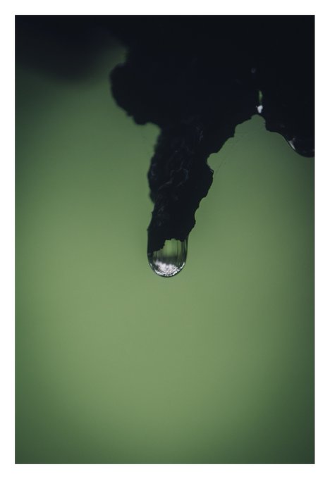 水や植物を人のように撮るのtwitterイラスト検索結果 水や植物を人のように撮るのtwitterイラスト検索結果
