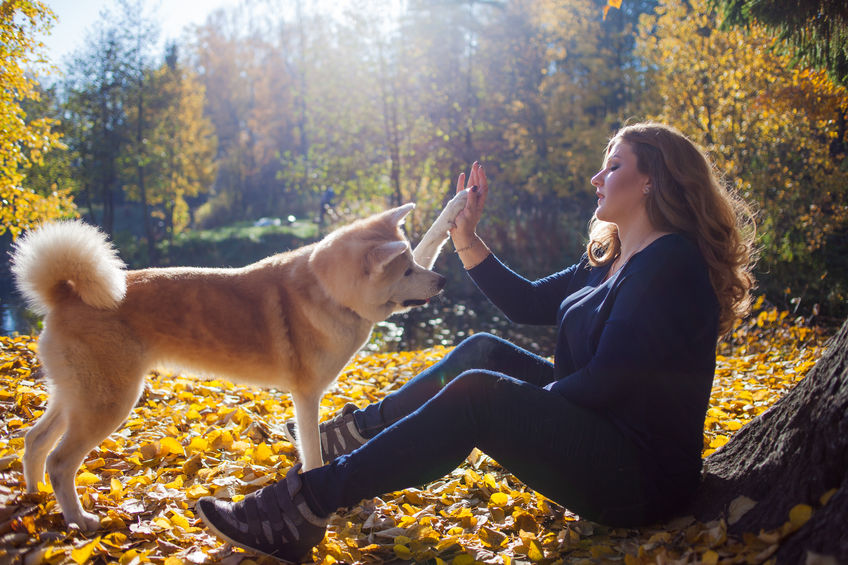 Fall and Our Pets Hazards
https://t.co/NK4lw8qICE
#overfifty #healthyme #overfiftyandfabulous #overfiftyfitness #womensupportingwomen #imasurvivor #womenencouragingwomen #Woman #Beauty #Womenover50 #Travelblogger #dog #pet #breath #scratching #itchy #flashlight #poopbagdispenser https://t.co/bITidHx11C