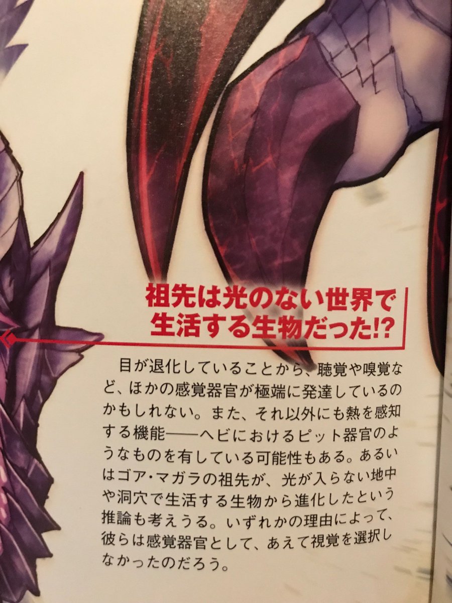 It's theorized that this monster's ancestors were originally either cave dwellers or lived underground, and this is supported by the fact that this monster is blind. Gore Magala doesn't have eyes and relies on another specialized sense to see its environment.