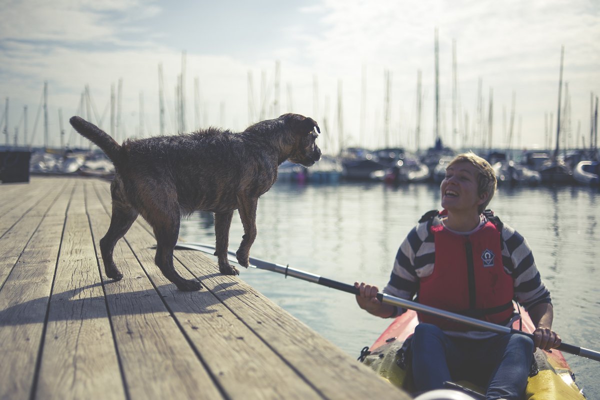 The paw-fect location for you and your furry friend this winter. Pet friendly self-catering holiday cottages in <a href="/MylorMarina/">Mylor Yacht Harbour</a>, Cornwall.
Mylor Harbourside Holidays.
Book today and receive a reduced VAT rate on your holiday.
Take a look: bit.ly/3deDlLx