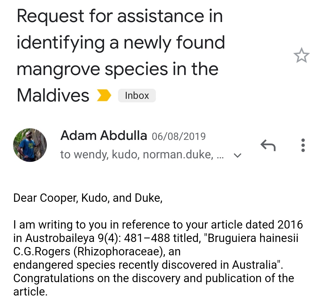 edzyadam's tweet photo. B. hainessi has been observed and recorded in #KulhudhuffushiKulhi way earlier with the help of @jcu @TropWATER 
Voucher specimens was lodged at Australian Tropical Herbarium in 2019.
Same species also observed in numerous Northern Mangroves. 
1/2
@EPAMaldives @MoEnvmv https://t.co/i5M3dJCZ0K